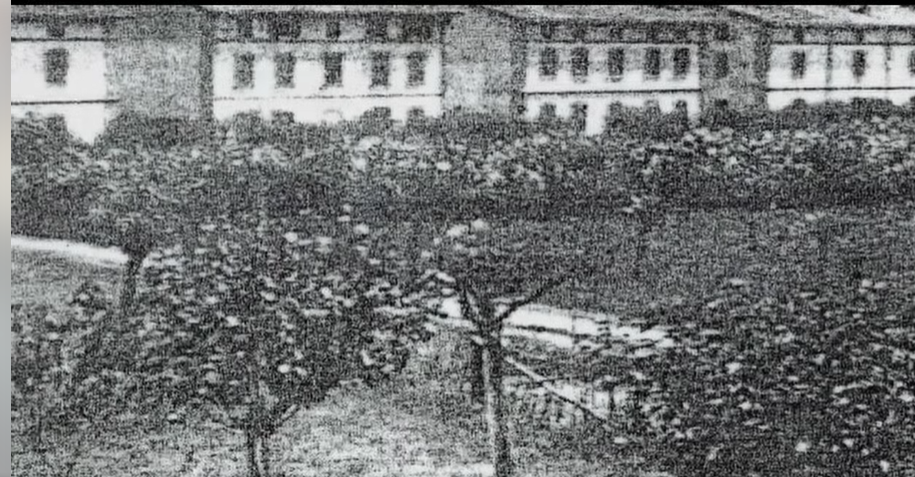 “La Provvidenza” di Mariano Comense